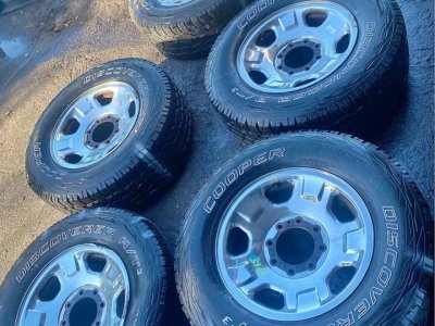 332886221_5570278366411803_4276655254578139316_n