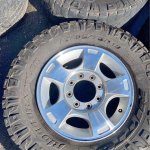 329626101_8839775369426638_2662972336724472237_n